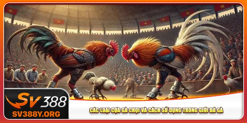 Các loại cựa gà chọi và cách sử dụng trong giới đá gà Các loại cựa gà chọi và cách sử dụng trong giới đá gà