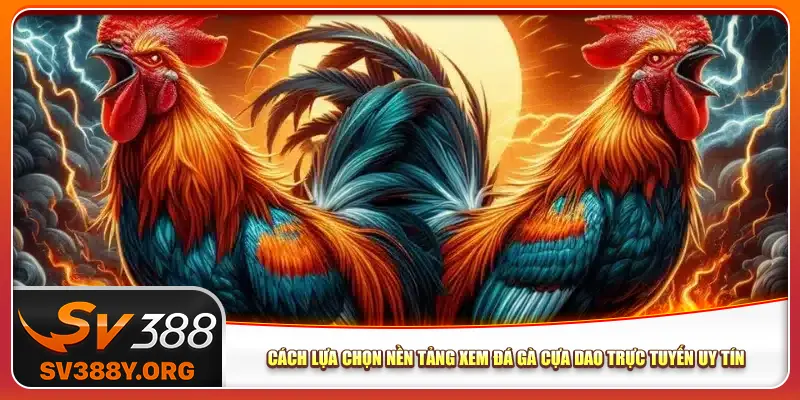 Cách lựa chọn nền tảng xem đá gà cựa dao trực tuyến uy tín