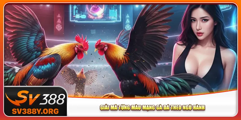 Giải mã từng màu mạng gà đá theo ngũ hành Giải mã từng màu mạng gà đá theo ngũ hành