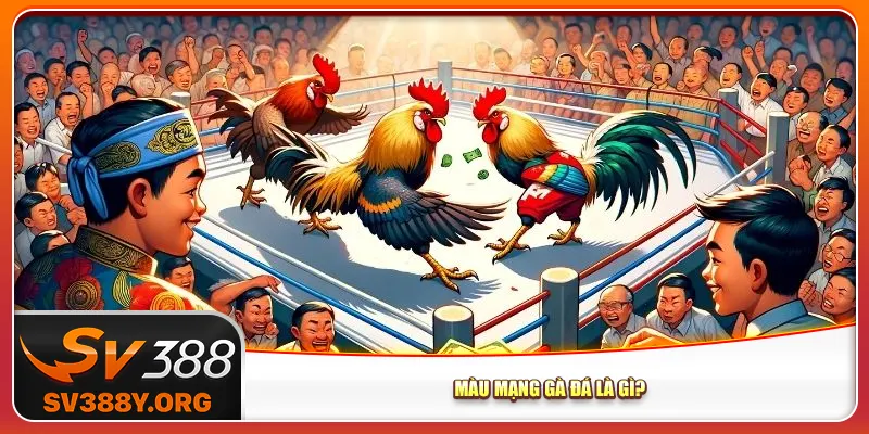 Màu mạng gà đá là gì? Màu mạng gà đá là gì?