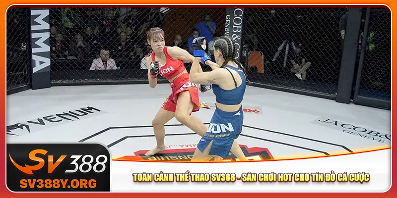 Toàn Cảnh Thể Thao Sv388 - Sân Chơi Hot Cho Tín Đồ Cá Cược